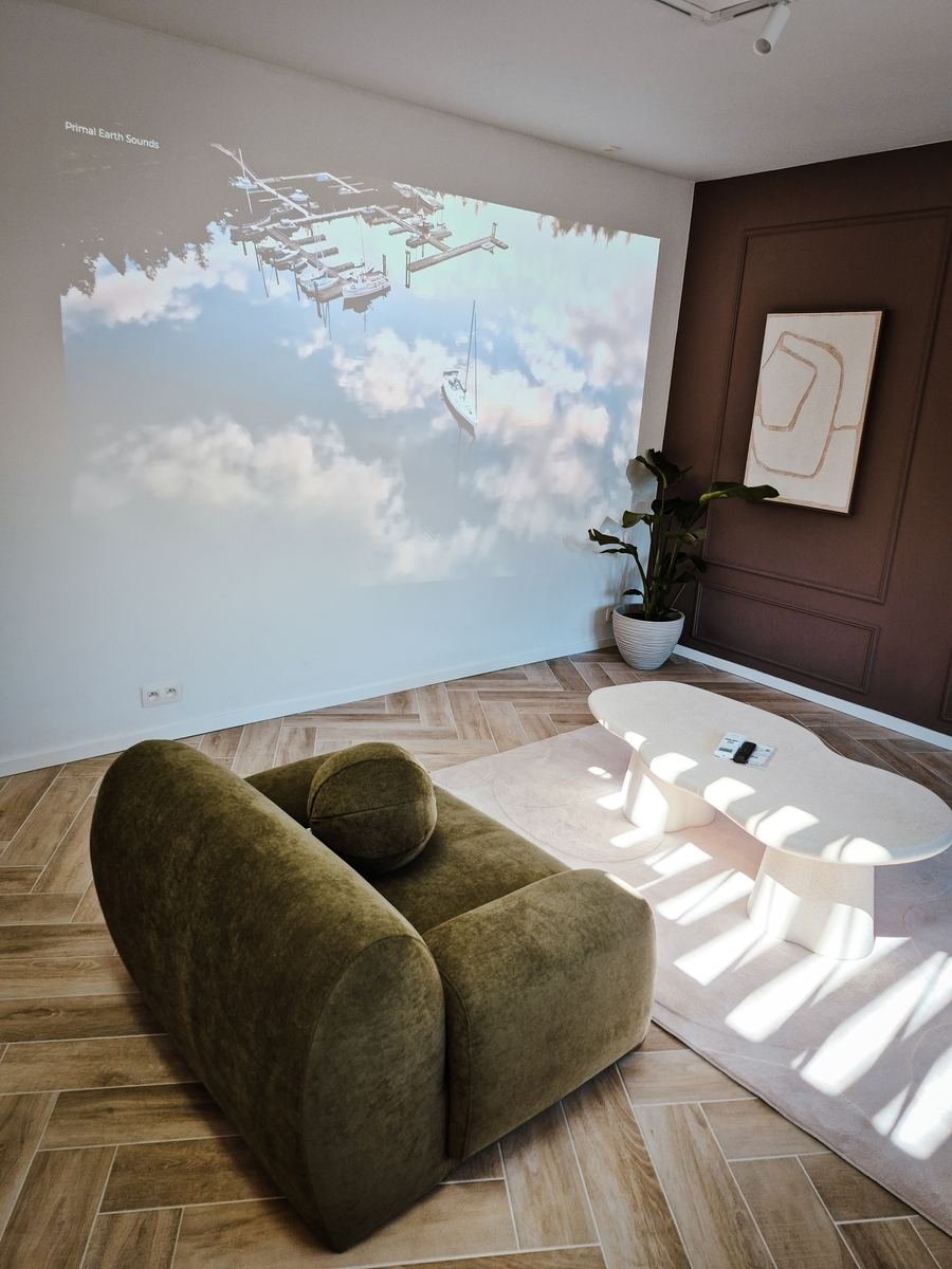 Home cinéma avec vidéoprojecteur mural à Maison H