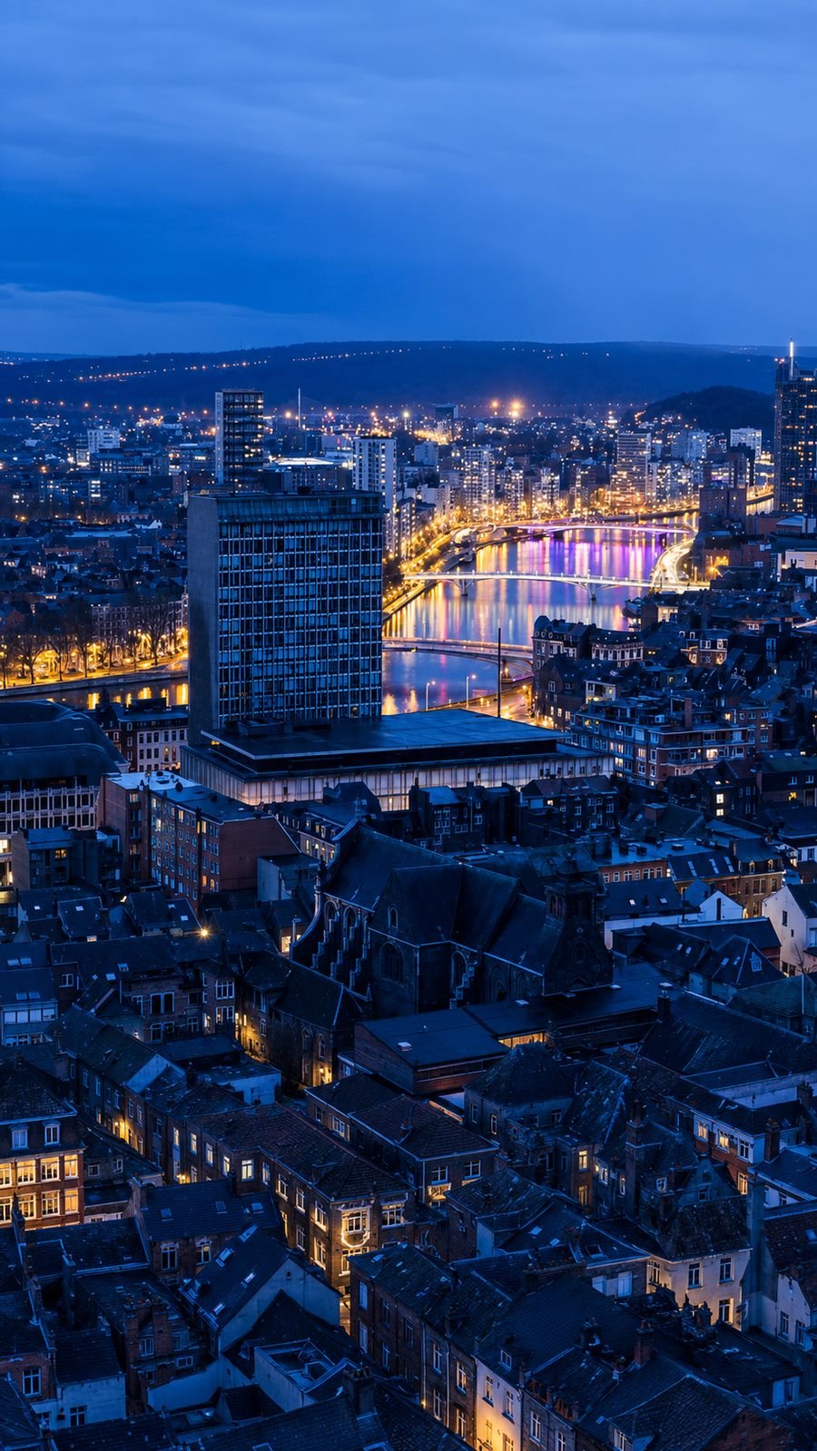 Vue nocturne de Liège, la Cité Ardente, et de la Meuse